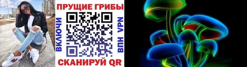 Галлюциногенные грибы MAGIC MUSHROOMS  как найти наркотики  Верхний Тагил 