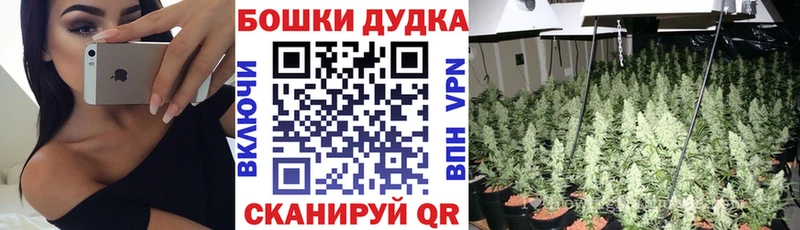 omg   shop как зайти  Канабис White Widow  Верхний Тагил 